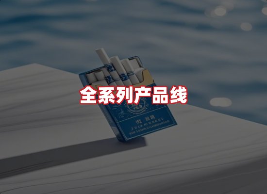 专业团队